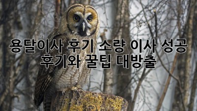 용달이사 후기: 소량 이사 성공 후기와 꿀팁 대방출!